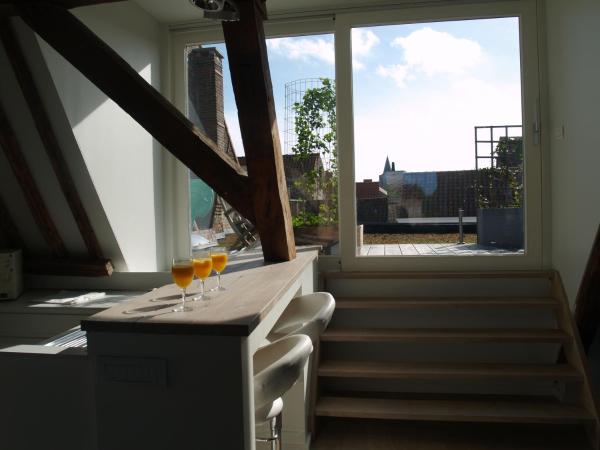 Guesthouse Vlamynckpoort : photo 8 de la chambre loft