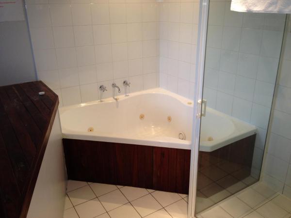 Waterfront Lodge Motel : photo 2 de la chambre chambre lit king-size avec baignoire spa
