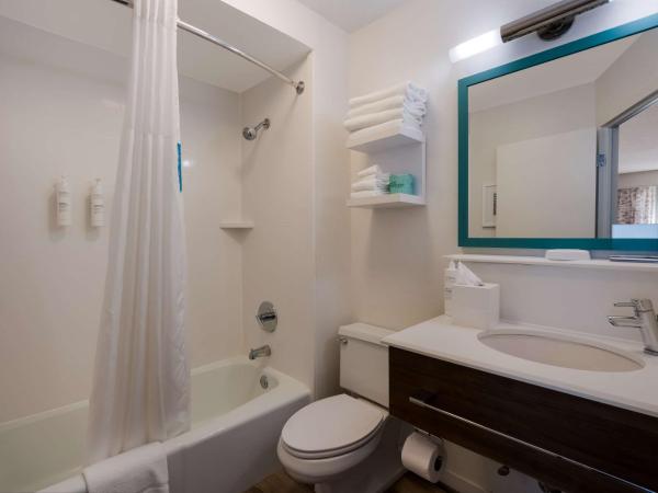 Hampton Inn Columbia-I-26 Airport : photo 4 de la chambre chambre lit king-size exécutive avec canapé-lit - non-fumeurs