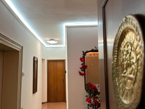 Lions Venice Guest house : photo 9 de la chambre chambre simple supérieure