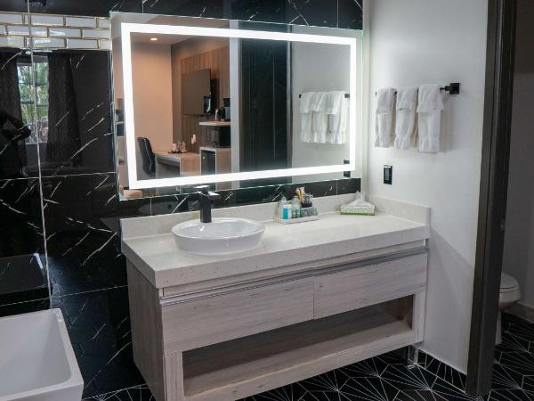 SureStay Hotel by Best Western Houston Southeast : photo 4 de la chambre suite lit king-size – non-fumeurs