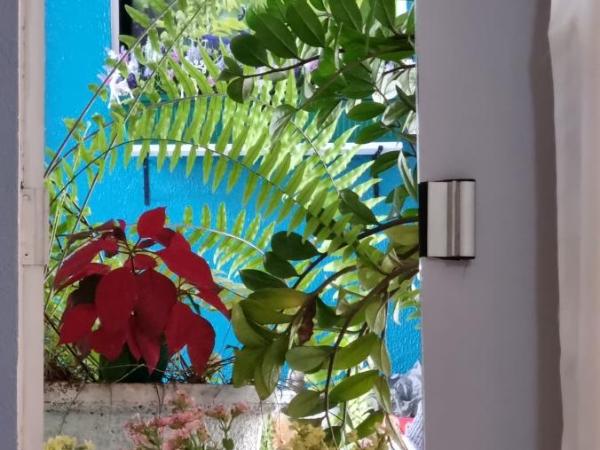 Pousada Recanto da Família : photo 7 de la chambre suite - vue sur jardin