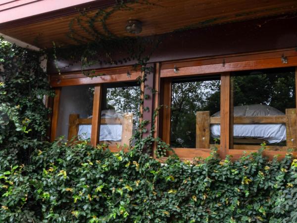 Hostel Casa Roble : photo 2 de la chambre lit dans dortoir pour femmes de 4 lits