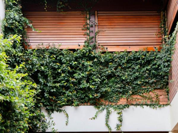Hostel Casa Roble : photo 3 de la chambre lit dans dortoir pour femmes de 4 lits