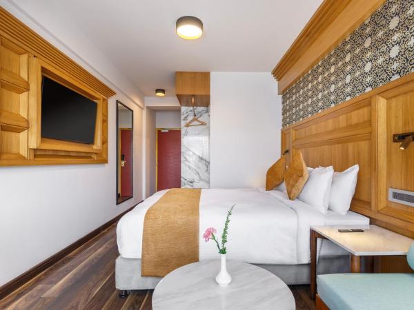 Hotel Tibet : photo 3 de la chambre chambre deluxe double ou lits jumeaux