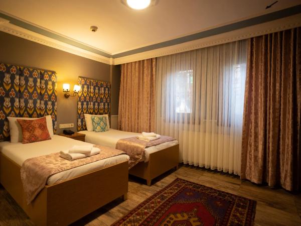 Hotel Tashkonak Istanbul : photo 6 de la chambre chambre double ou lits jumeaux Économique - rez-de-chaussée