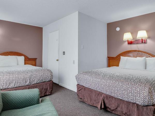 Viking Motel : photo 6 de la chambre chambre double standard