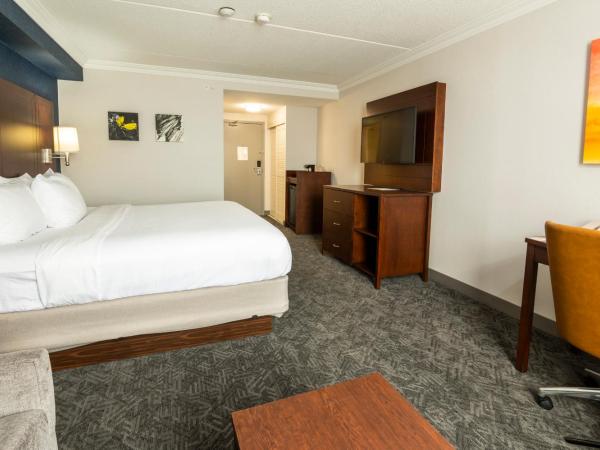 Comfort Inn & Conference Centre Toronto Airport : photo 3 de la chambre chambre lit king-size avec canapé-lit - non-fumeur