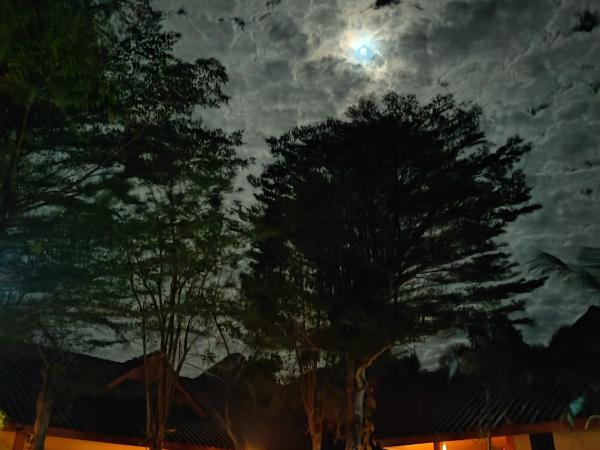 Penny's Resort : photo 1 de la chambre chambre double - vue sur jardin