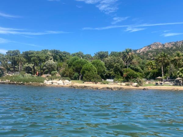 Maranatha Résidence avec plage privée, piscine chauffée : photo 2 de la chambre studio (2 adultes) - cypres