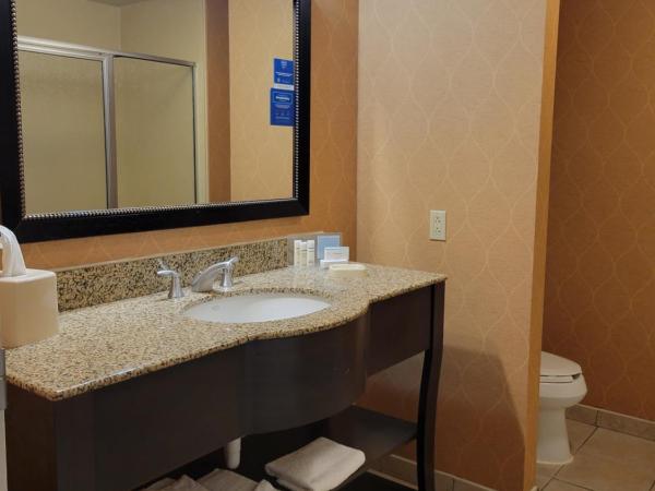 Hampton Inn & Suites Austin Cedar Park-Lakeline : photo 3 de la chambre chambre 2 lits queen-size - non-fumeurs