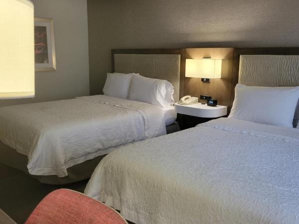 Hampton Inn & Suites Austin Cedar Park-Lakeline : photo 4 de la chambre chambre 2 lits queen-size - non-fumeurs