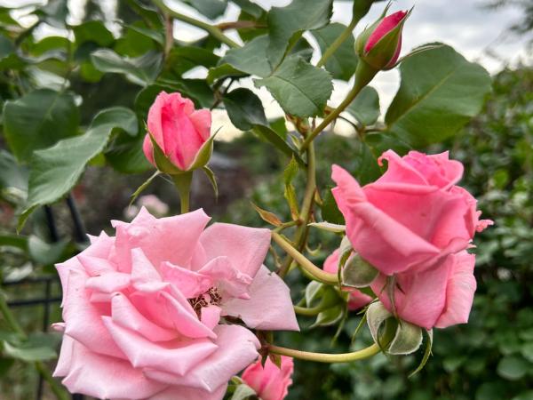 Premium home with Garden view, private parking : photo 5 de la chambre chambre double