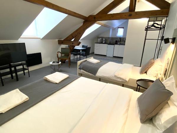 VILLA VLAS - Chambre d'Hôte - Limoges : photo 8 de la chambre chambre double avec lit d'appoint