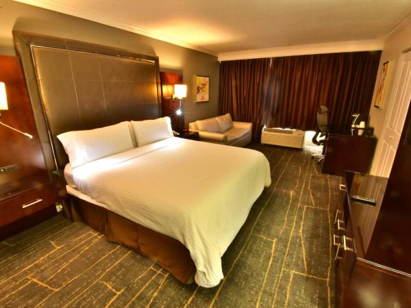 Holiday Inn Orlando East-UCF Area, an IHG Hotel : photo 4 de la chambre chambre lit king-size