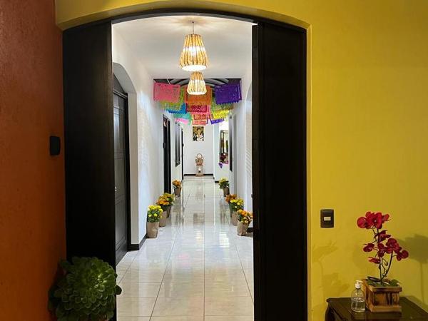 Alojamientos OHANA : photo 4 de la chambre bungalow familial