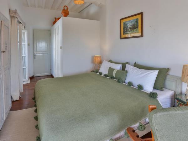 Chems Bleu : photo 6 de la chambre chambre double verte