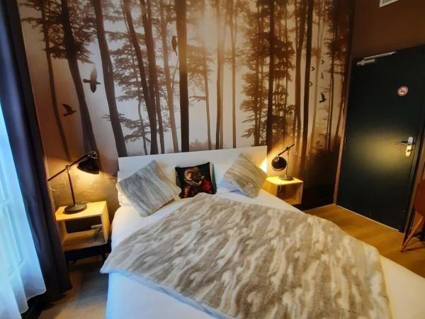 Hotel Du Cygne Tours : photo 3 de la chambre petite chambre double