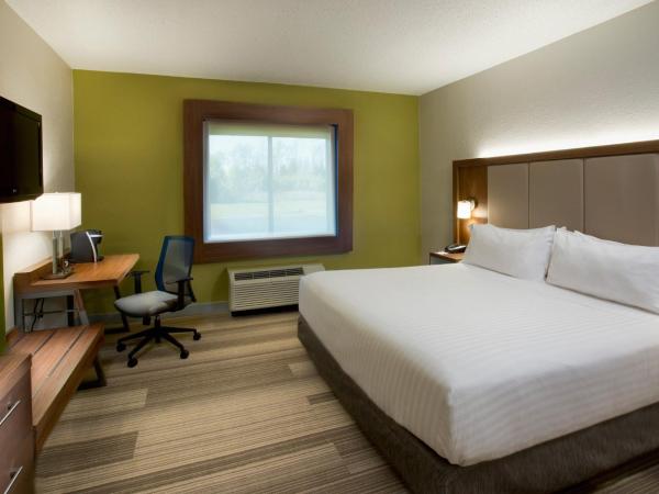Holiday Inn Express Nashville Airport, an IHG Hotel : photo 9 de la chambre chambre lit king-size standard 