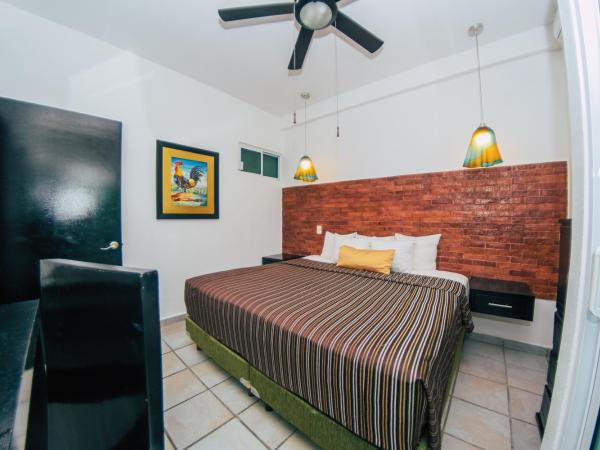 Hotel Suites Nadia Puerto Vallarta : photo 2 de la chambre appartement 1 chambre