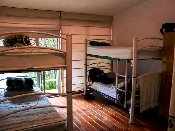 Hostal Cuija Coyoacan Berlin 268 Coyoacan : photo 1 de la chambre lit dans dortoir pour hommes