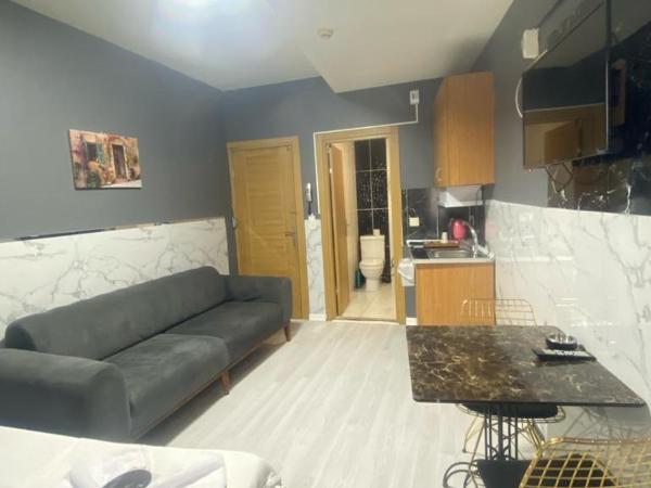 ARENA APART OTEL : photo 2 de la chambre studio