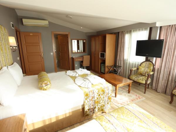 Hotel Tashkonak Istanbul : photo 7 de la chambre suite - vue sur mer