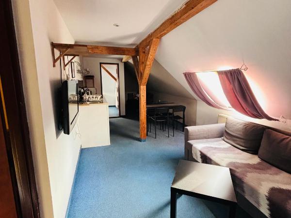 Willa Pod Wieżami : photo 1 de la chambre studio familial