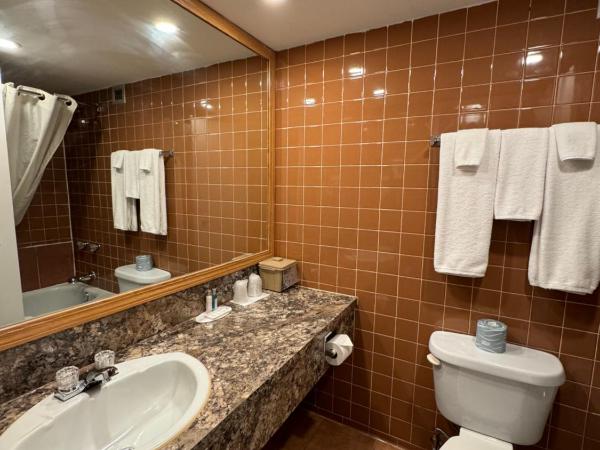 Travelodge by Wyndham Winnipeg Airport : photo 5 de la chambre chambre lit king-size - non-fumeurs