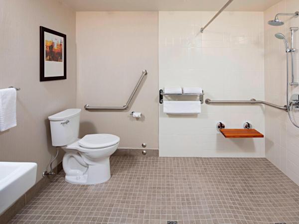 Delta Hotels by Marriott Winnipeg : photo 4 de la chambre chambre lit king-size