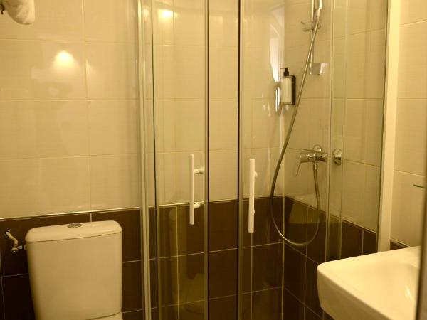 Hôtel Villa Berlioz : photo 3 de la chambre petite chambre simple