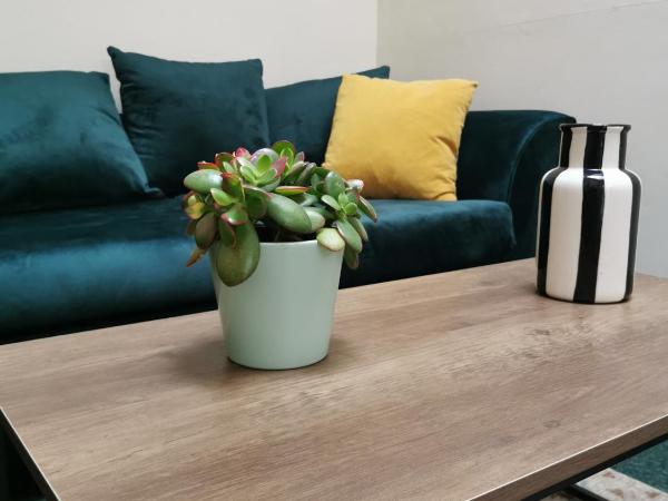 Botanic Avenue Hostel less than a mile from the City Centre : photo 8 de la chambre lit dans dortoir mixte de 4 lits