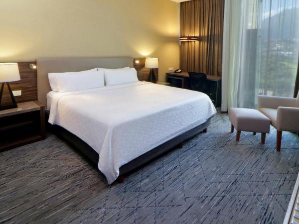 Holiday Inn Express & Suites Monterrey Valle, an IHG Hotel : photo 3 de la chambre standard king room with extra floor space