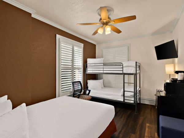 Mithila San Francisco - SureStay Collection by Best Western : photo 4 de la chambre chambre lit queen-size avec lit superposé - non-fumeurs