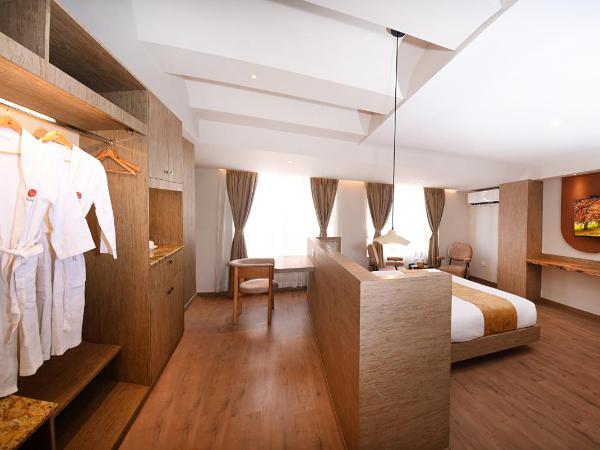 Daali Hotel & Apartment : photo 6 de la chambre suite