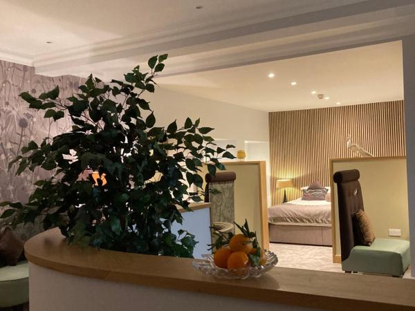 21212 : photo 1 de la chambre studio