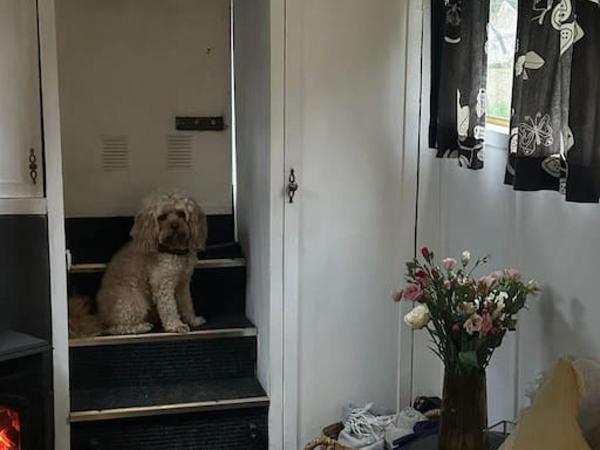 Narrow Boat moored in London : photo 3 de la chambre maison de vacances