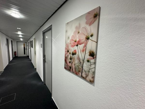 Pension Bavaria Immobilien : photo 4 de la chambre chambre simple