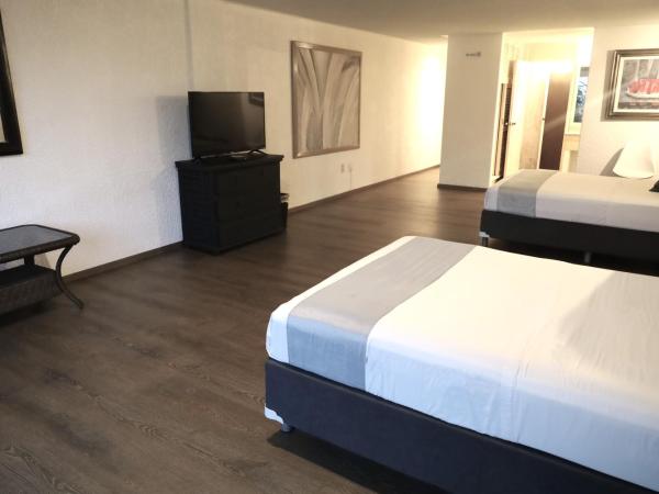 Hotel Grand Vista Cuernavaca : photo 1 de la chambre chambre double - vue sur jardin