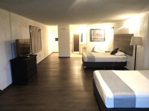 Hotel Grand Vista Cuernavaca : photo 3 de la chambre chambre double - vue sur jardin