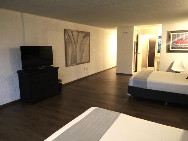 Hotel Grand Vista Cuernavaca : photo 2 de la chambre chambre double - vue sur jardin