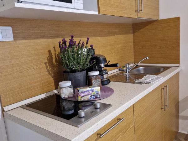 Balaton Apartman Füred : photo 8 de la chambre studio