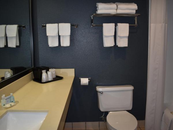 Quality Inn & Suites Garden Of The Gods : photo 4 de la chambre suite 1 chambre avec 2 lits queen-size et 1 canapé-lit