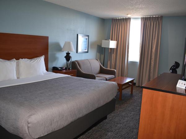 Quality Inn & Suites Garden Of The Gods : photo 1 de la chambre chambre lit king-size - accessible aux personnes à mobilité réduite/non-fumeurs