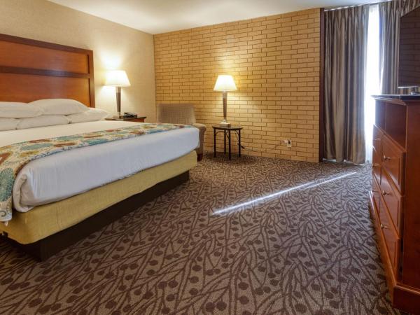 Drury Inn & Suites Atlanta Airport : photo 1 de la chambre spacious king suite – high floor