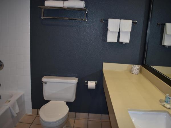 Quality Inn & Suites Garden Of The Gods : photo 4 de la chambre chambre lit king-size non fumeurs - animaux domestiques admis