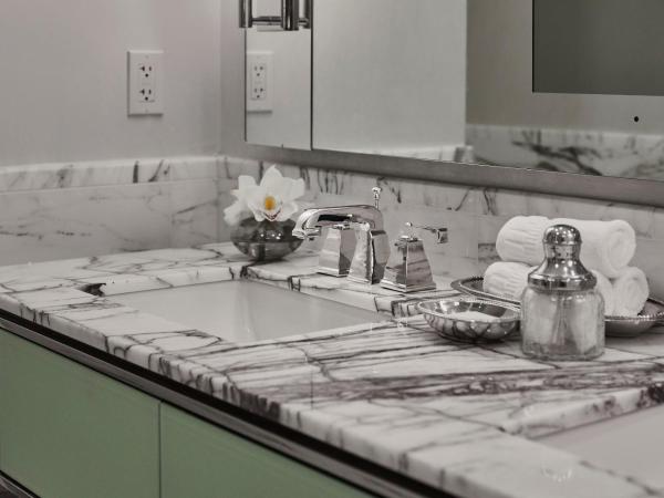 Loews Regency New York Hotel : photo 4 de la chambre park avenue terrace suite 