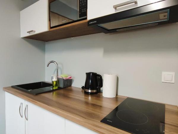 Zielony Zakątek Karpacz Apartamenty : photo 6 de la chambre grande chambre double