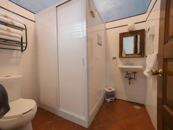 Hotel Suites Del Centro : photo 4 de la chambre appartement 1 chambre (2 adultes)