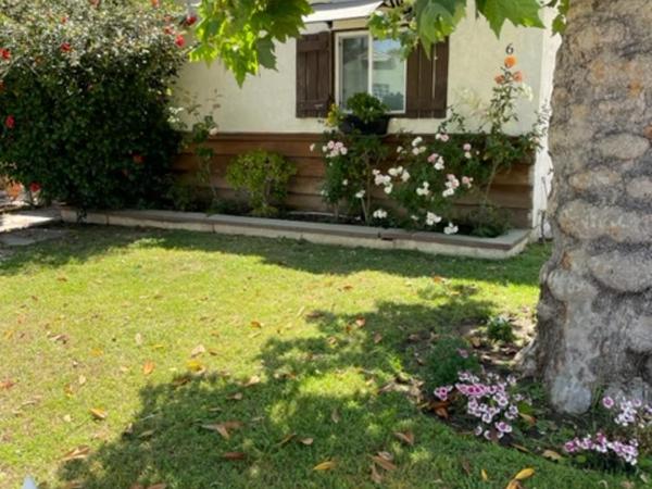 Orchard house : photo 7 de la chambre chambre lit queen-size deluxe